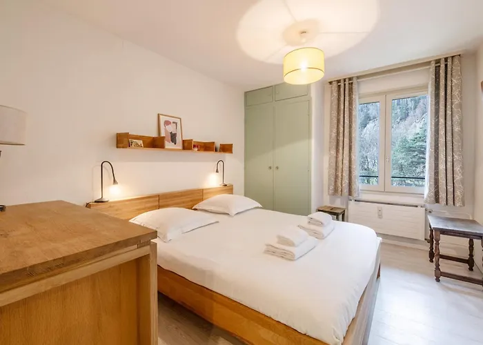 Spacieux Avec Parking Et Animaux Admis, Proche De - Fr-1-343-273 Appartement Chamonix