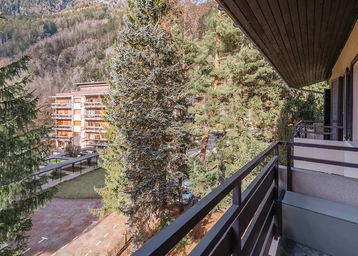 Spacieux Avec Parking Et Animaux Admis, Proche De - Fr-1-343-273