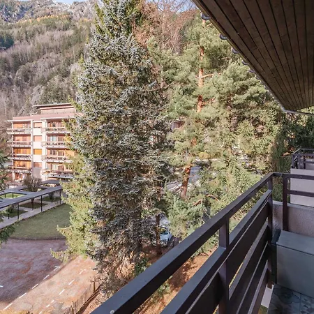 Spacieux Avec Parking Et Animaux Admis, Proche De - Fr-1-343-273 Chamonix