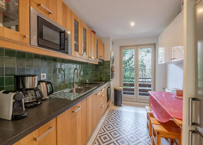 Apartamento Spacieux Avec Parking Et Animaux Admis, Proche De - Fr-1-343-273